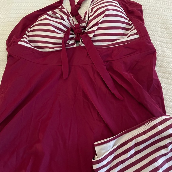 BloomChic Burgundy and White Striped Swim Dress - Picture 7 of 9